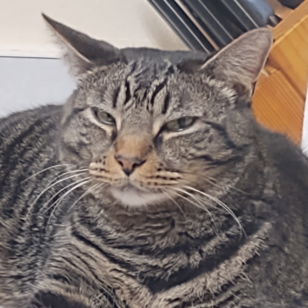 Meet your Posher, Posh